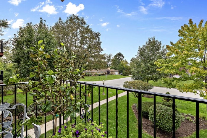 a view from a balcony of a park with trees and a road