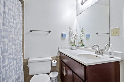 a bathroom with a sink toilet and a mirror