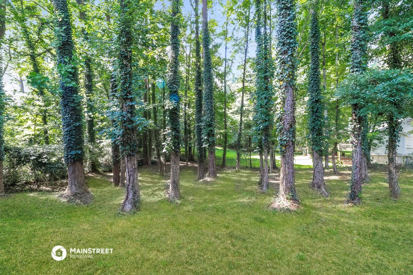 a grove of trees with green grass and trees