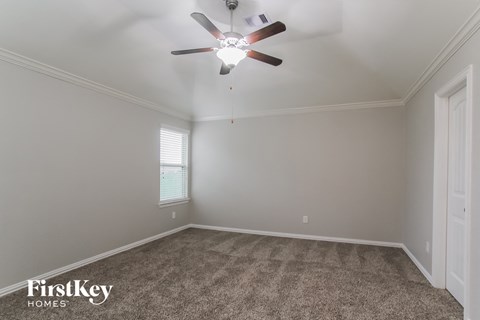the living room has a ceiling fan and a carpet