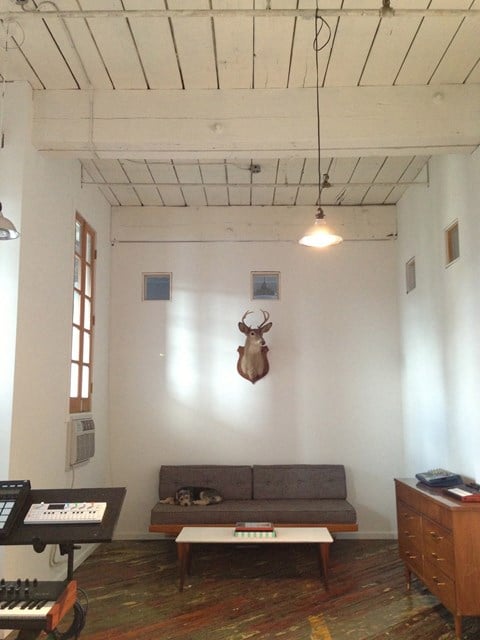 a living room with a couch and a bulls head on the wall