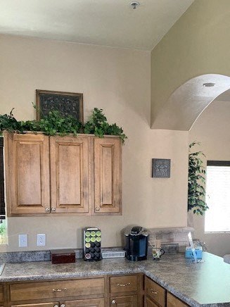 A kitchen with wooden cabinets and a green plant on top.