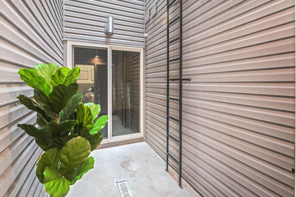 the entrance to a home with a sliding glass door and a plant