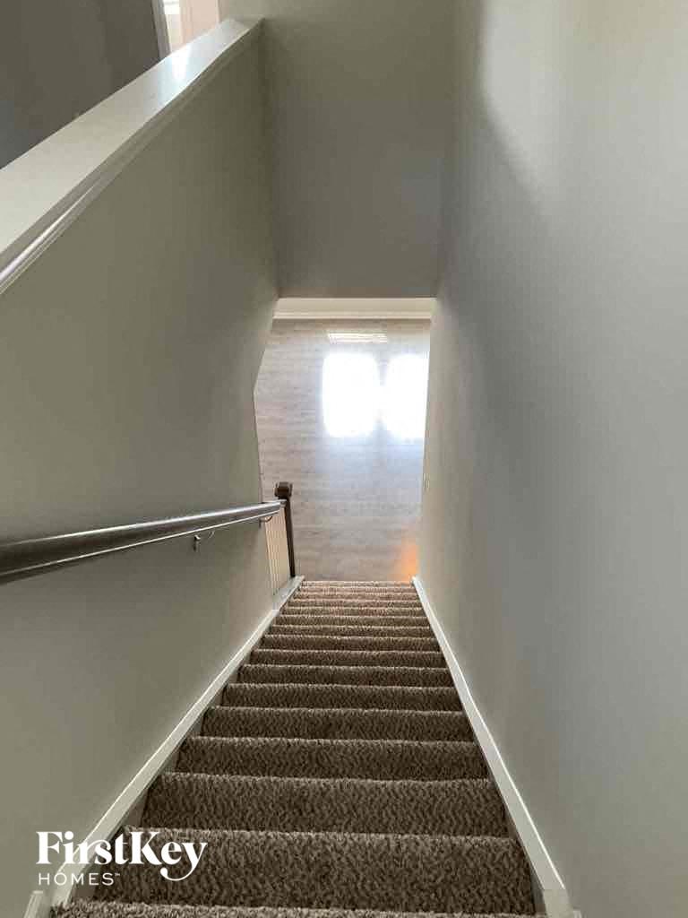 a stairway with carpeted stairs and a window on the bottom of the stairs