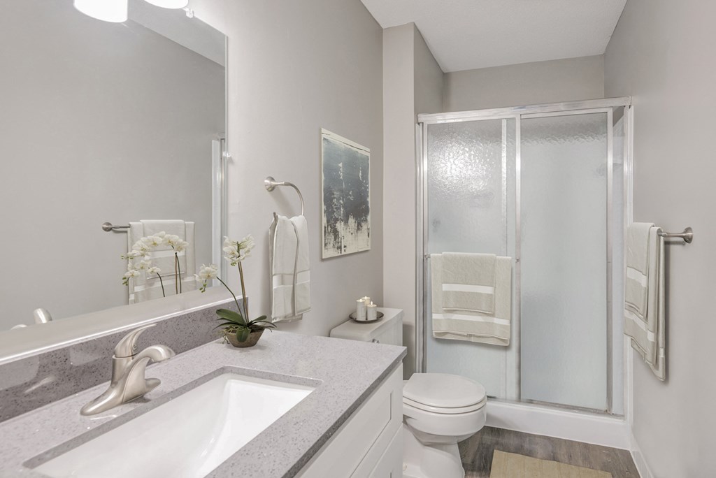 a bathroom with a sink and a shower and a toilet