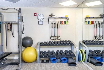 Weight equipment in gym - Photo Gallery 10