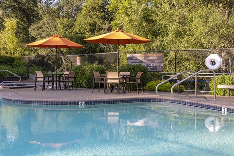 Pool with lounge chairs