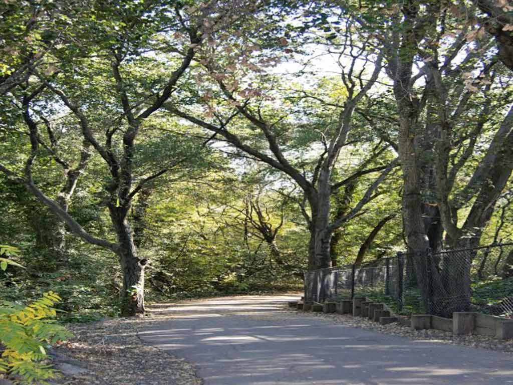 Apartments in Napa, Ca l Towpath Village