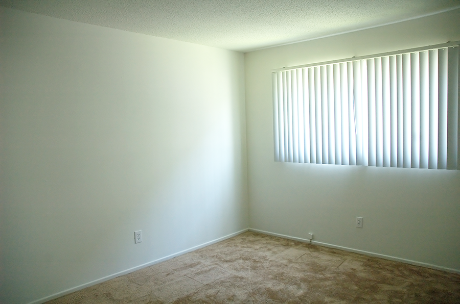 a empty room with a window and a carpeted floor