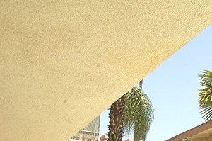 Vecino Capri Cameron Properties a building with palm trees and a white fence