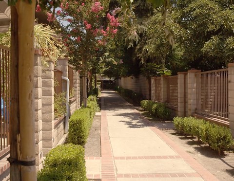 a city street with trees and bushes and a fence