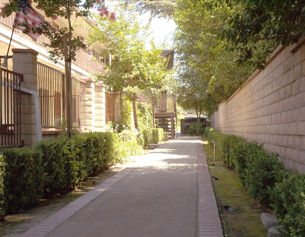 an alley between two buildings with trees and bushes