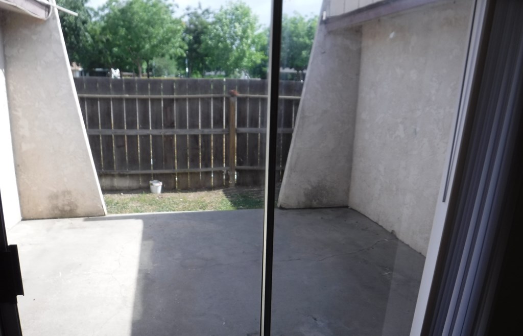 the view of the back yard from the living room window