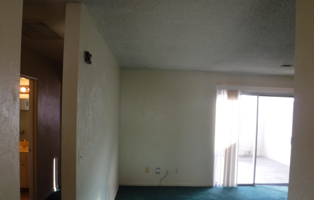 an empty living room with a green carpet and a window