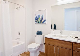 Bathroom with single vanity and bath tub/shower
