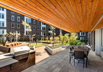 Courtyard with barbecues, table and chairs - Photo Gallery 2