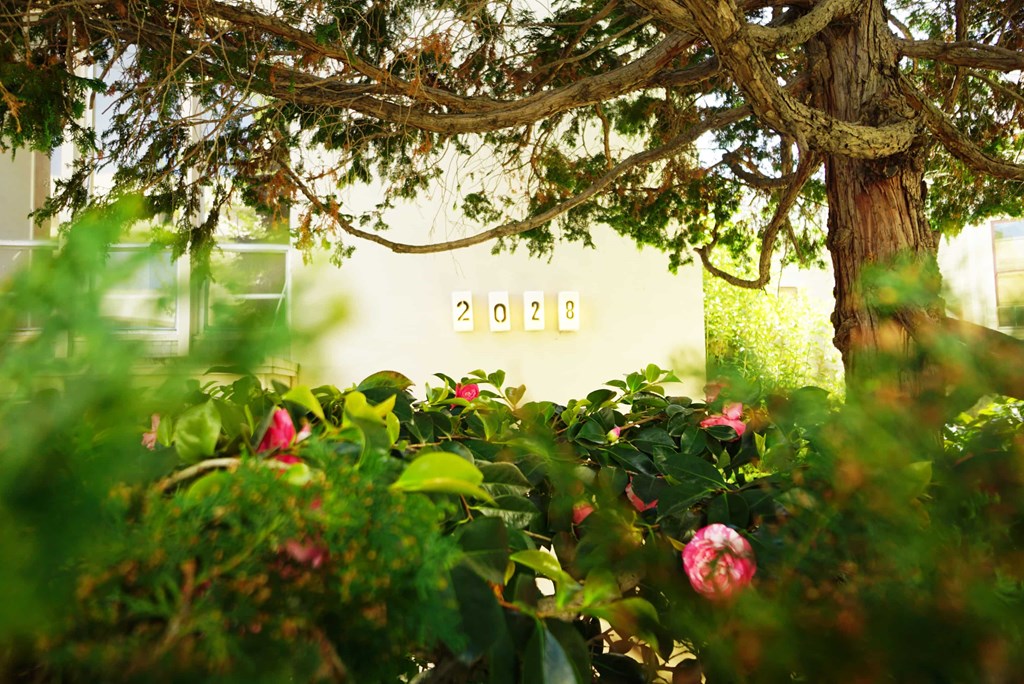 a sign on a building behind some flowers and trees