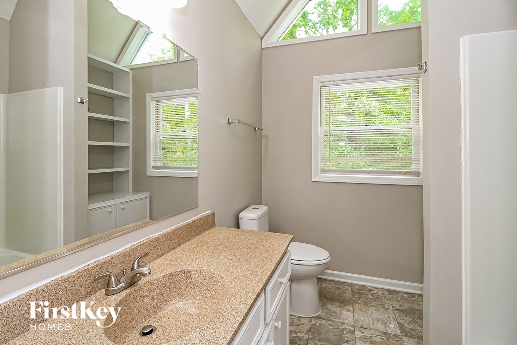 a bathroom with a sink and a toilet