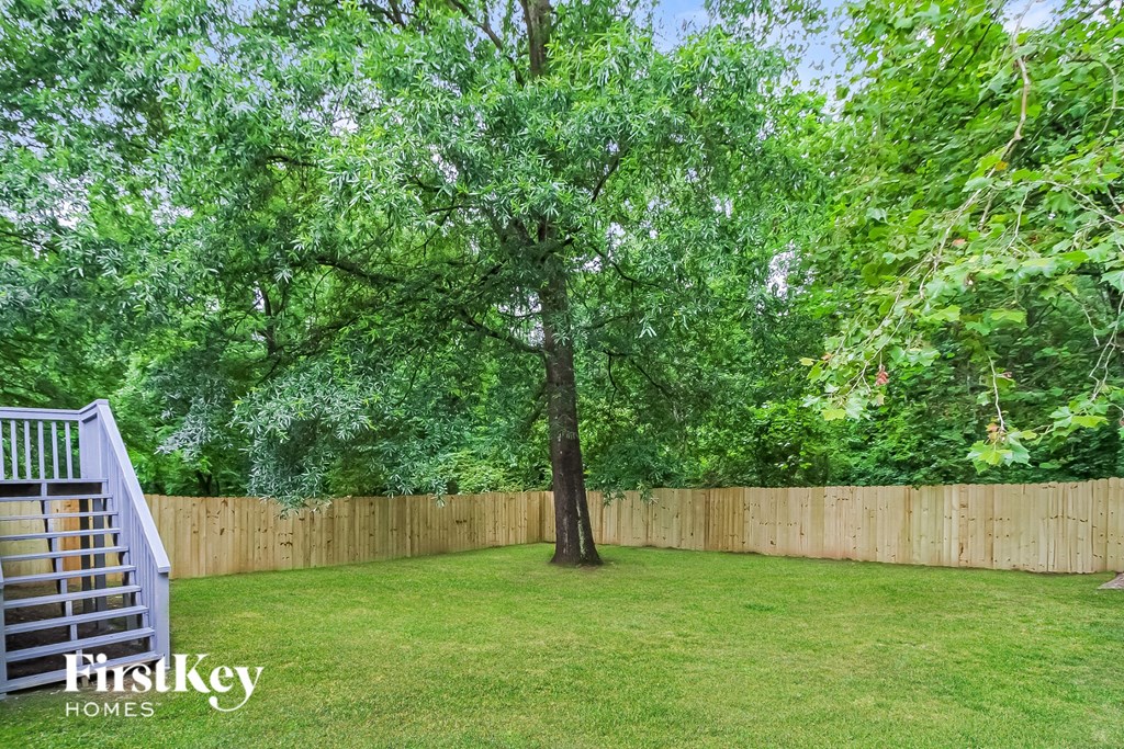 a backyard with a tree and a wooden fence