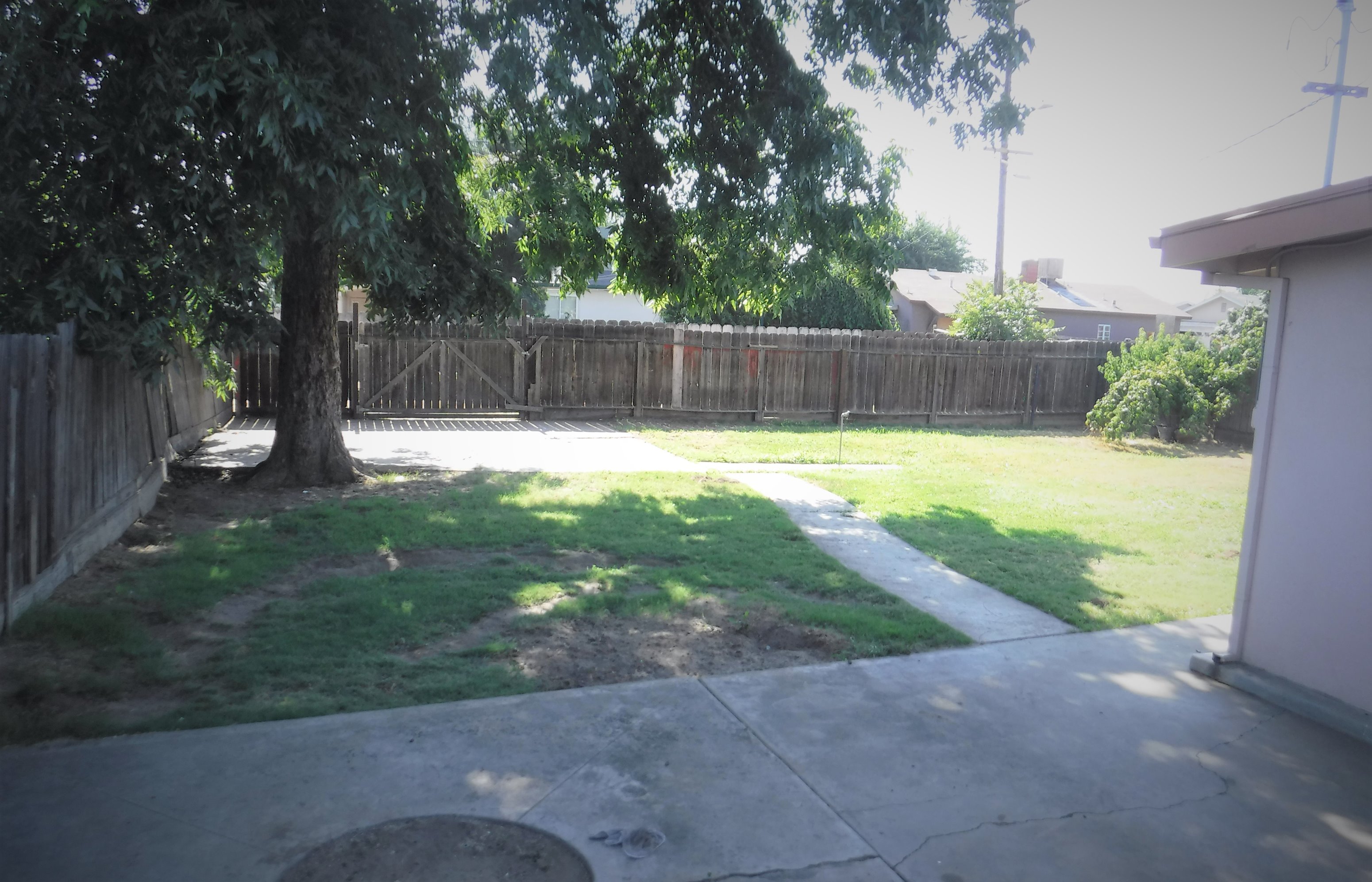 a backyard with a tree and a sidewalk
