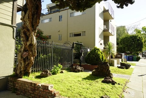 the yard of an apartment building with a lawn and a tree