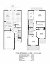 The Spruce