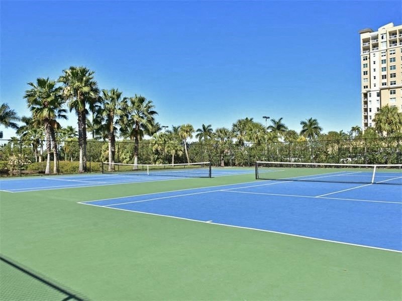 a blue and green tennis court with palm trees