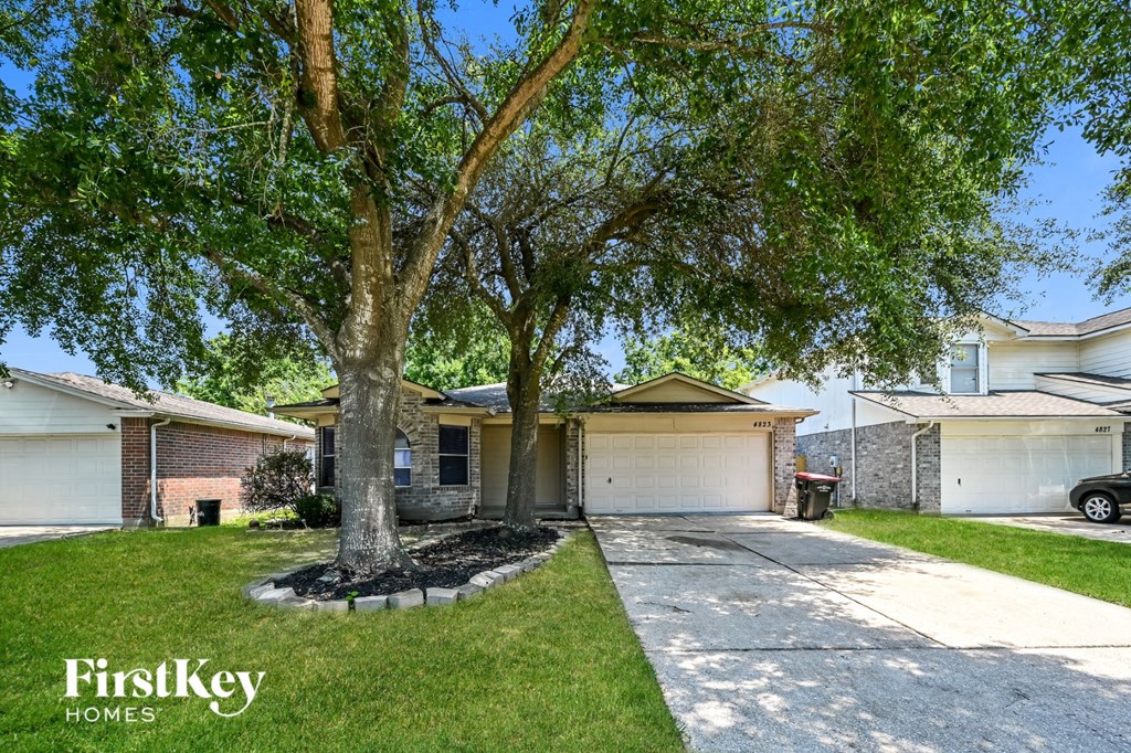 a tree in the front yard of a house with a driveway