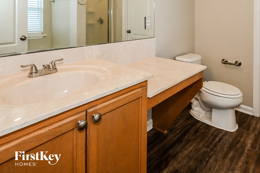 a bathroom with a sink and a toilet and a mirror