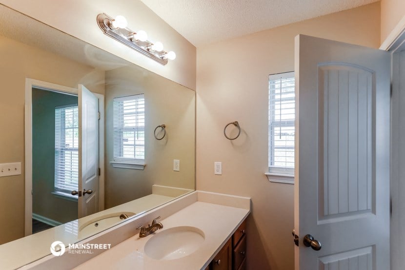 a bathroom with a sink and a large mirror