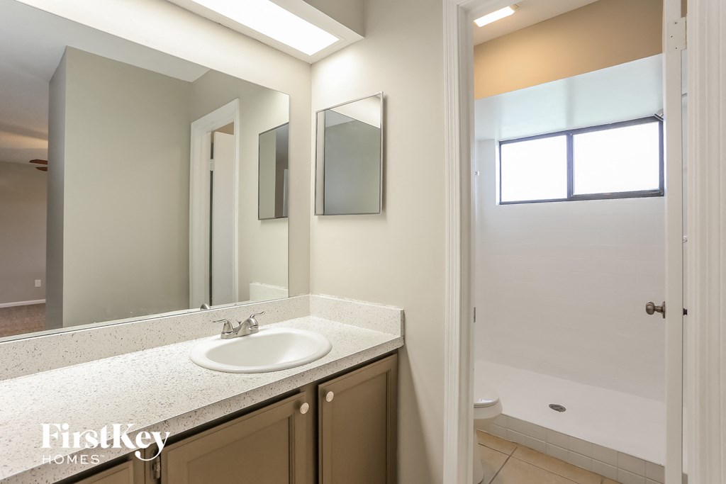 a bathroom with a sink and a shower and a mirror