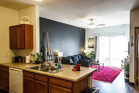 a kitchen with a sink and a living room with a couch