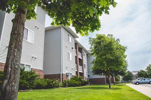 a street view of a building with a tree in the grass