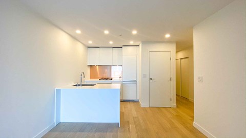A kitchen with a sink and a countertop.