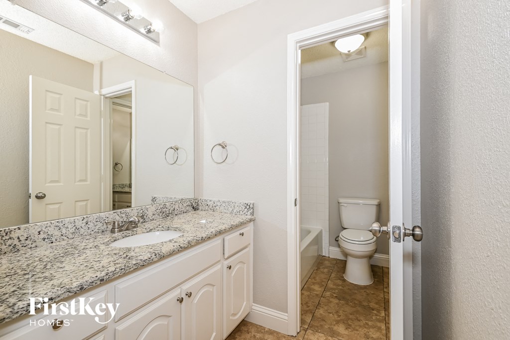 a bathroom with a sink and a toilet and a mirror