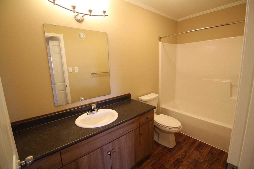 a bathroom with a sink and a toilet and a mirror