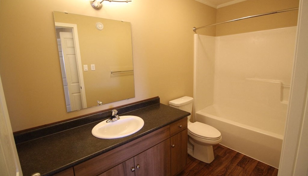 a bathroom with a sink toilet and a mirror