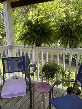 156 Jefferson Davis Blvd. 1-2 Beds Apartment for Rent - Photo Gallery 4