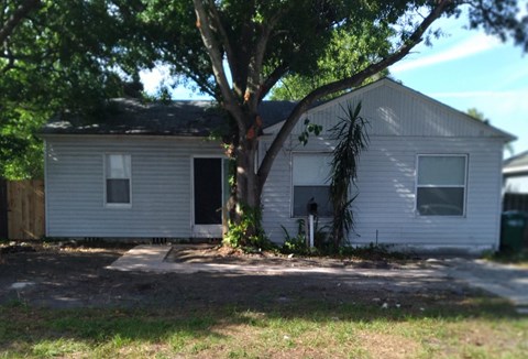 A tree is in front of a house.