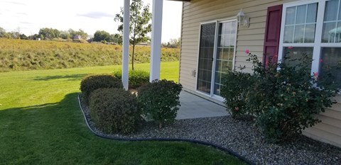 a view of the front porch of a house with bushes and grass