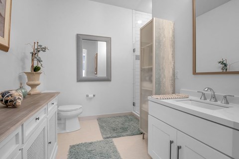 a bathroom with a sink toilet and a shower