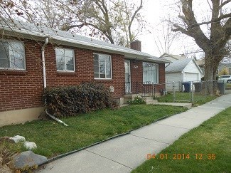 A brick house with a hedge trimmed to look like a tree in front of it.