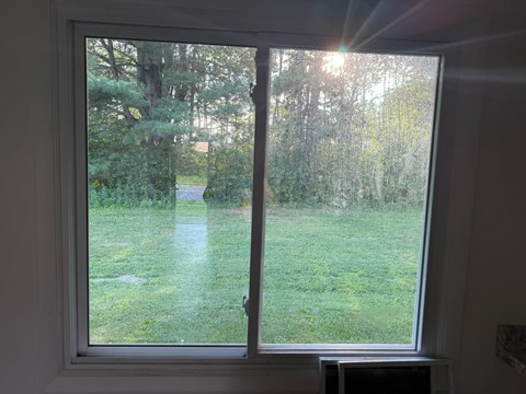 A window with a view of a green lawn and trees.