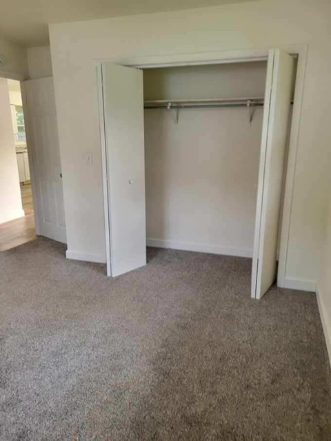 A white closet with a grey carpet is open.