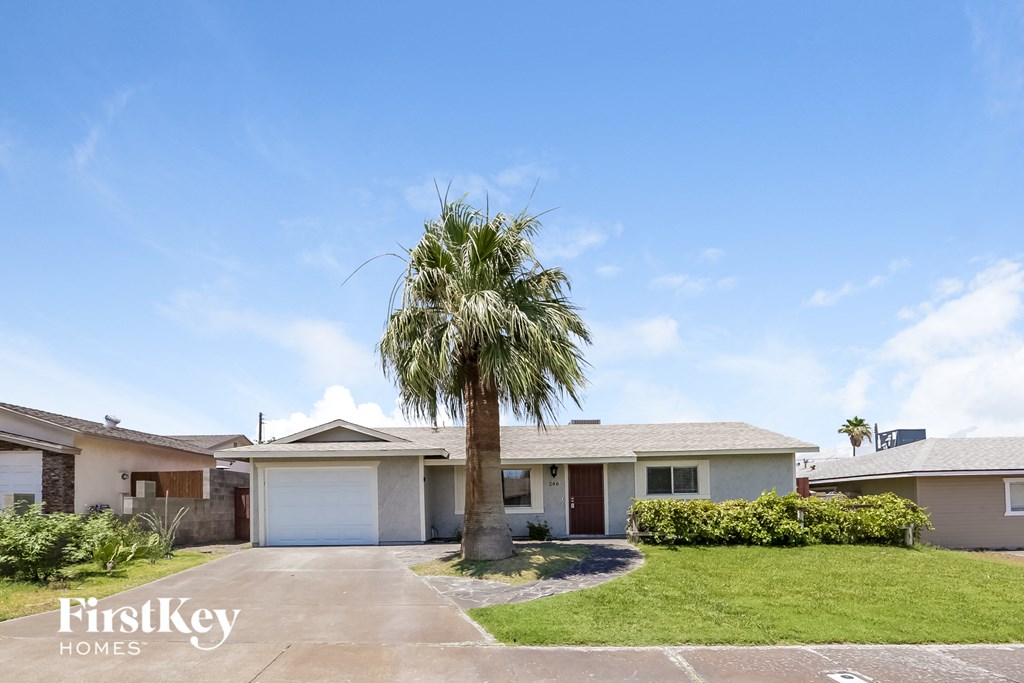 a house with a palm tree in front of it