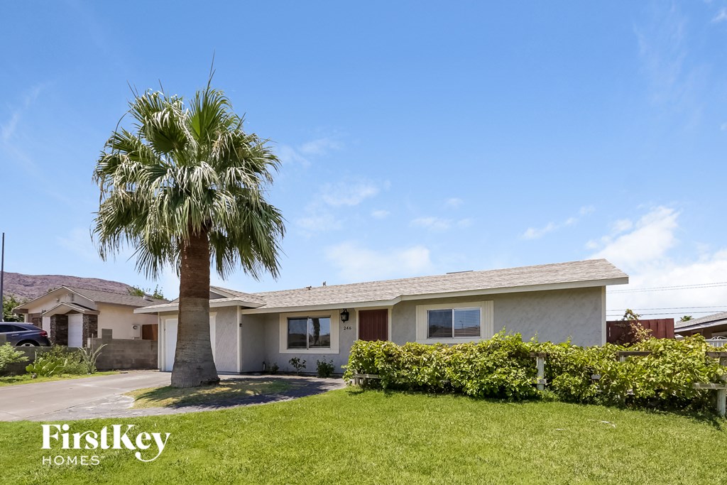 a house with a palm tree in front of it