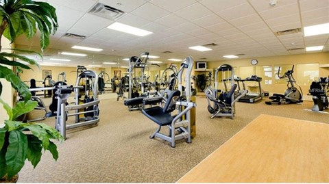 A gym with a variety of equipment including treadmills, weights, and exercise machines.