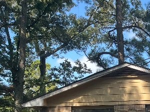 A house with a brown exterior is surrounded by trees and has a green trash can in front of it.