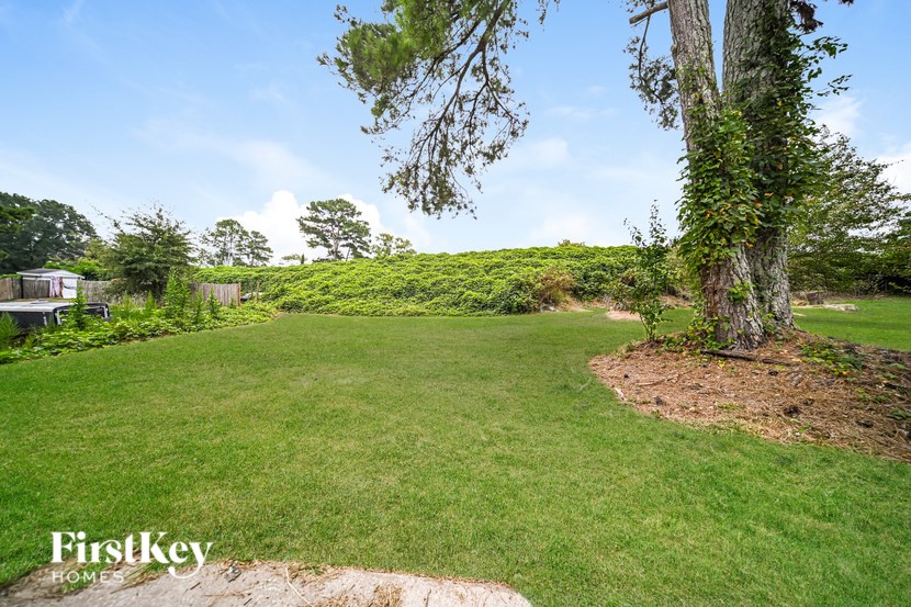 A lush green yard with a tree and a house in the background.