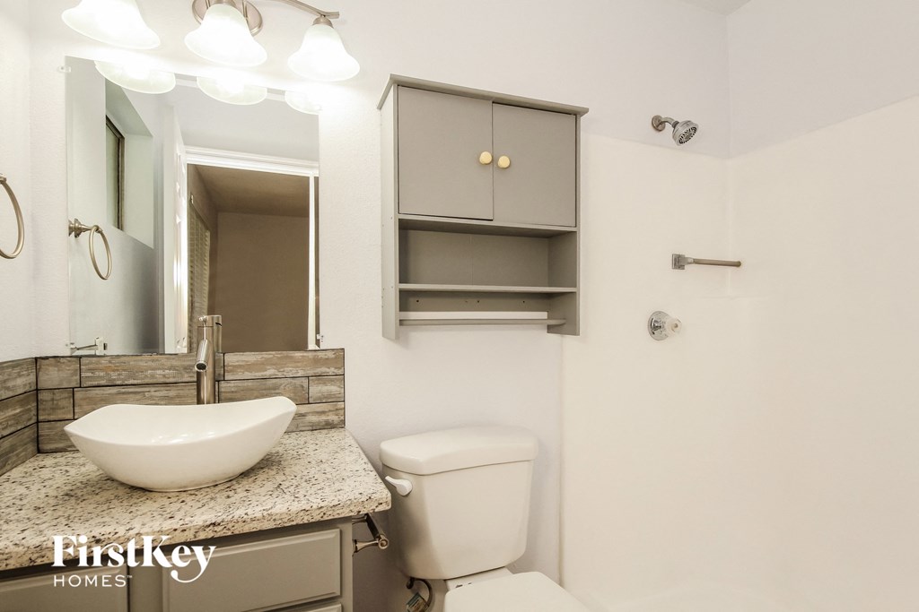 a bathroom with a sink and a toilet and a mirror